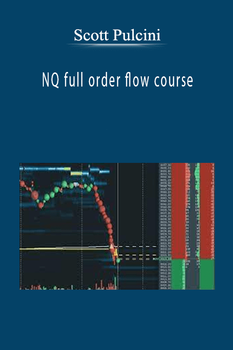 Scott Pulcini - NQ full order flow course