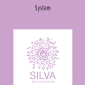 Silva Intuition - System