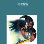 Spidey - Induction