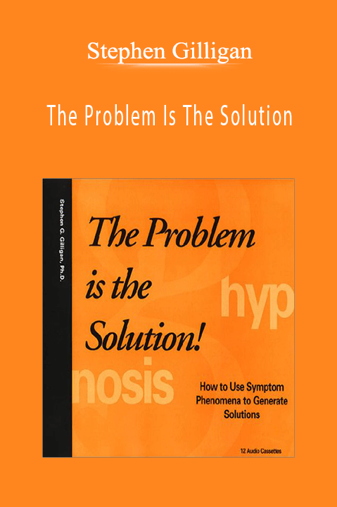 Stephen Gilligan - The Problem Is The Solution