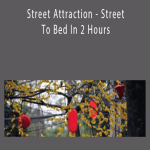 Street Attraction - Street To Bed In 2 Hours With Shy Korean Girl