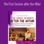 The First Session after the Affair Managing the Crisis of Infidelity A Demonstration Video - Ellyn Bader & Peter Pearson, Ph.D.