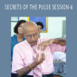 Vasant Lad - SECRETS OF THE PULSE SESSION-6 OJAS, TEJAS, AND PRANA (RECORDING)