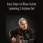 Artie and Happy Traum - Easy Steps to Blues Guitar Jamming 2 Volume Set.