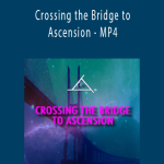 Bashar - Crossing the Bridge to Ascension - MP4.