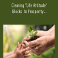 Michael Davis Golzmane - Clearing Life Attitude Blocks to Prosperity - Is the Nature of Life actually Good.