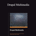 Aaron Winborn - Drupal Multimedia