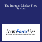 Hector DeVille - The Intraday Market Flow System