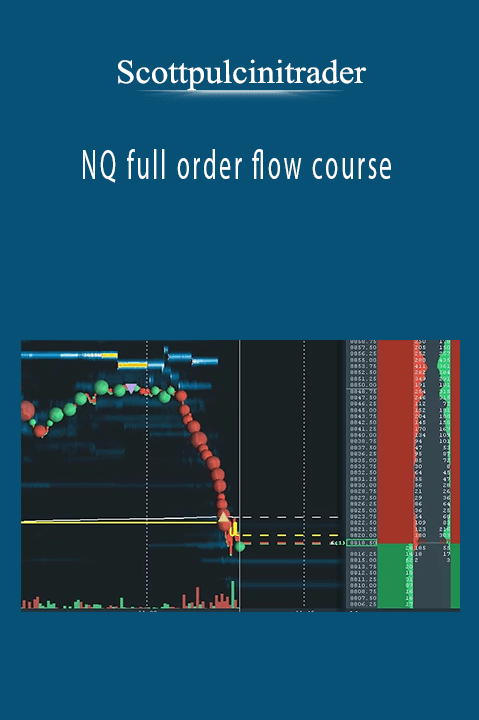 Scottpulcinitrader - NQ full order flow course