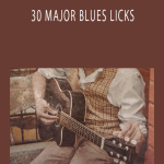David Wallimann - 30 MAJOR BLUES LICKS