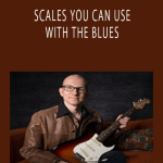 Robert Renman - SCALES YOU CAN USE WITH THE BLUES