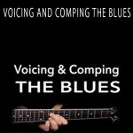 Robert Renman - VOICING AND COMPING THE BLUES
