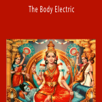 Sarah LaFleur - The Body Electric