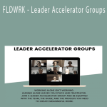 FLDWRK - Leader Accelerator Groups