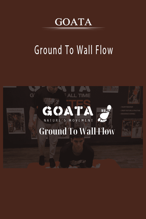 GOATA – Ground To Wall Flow